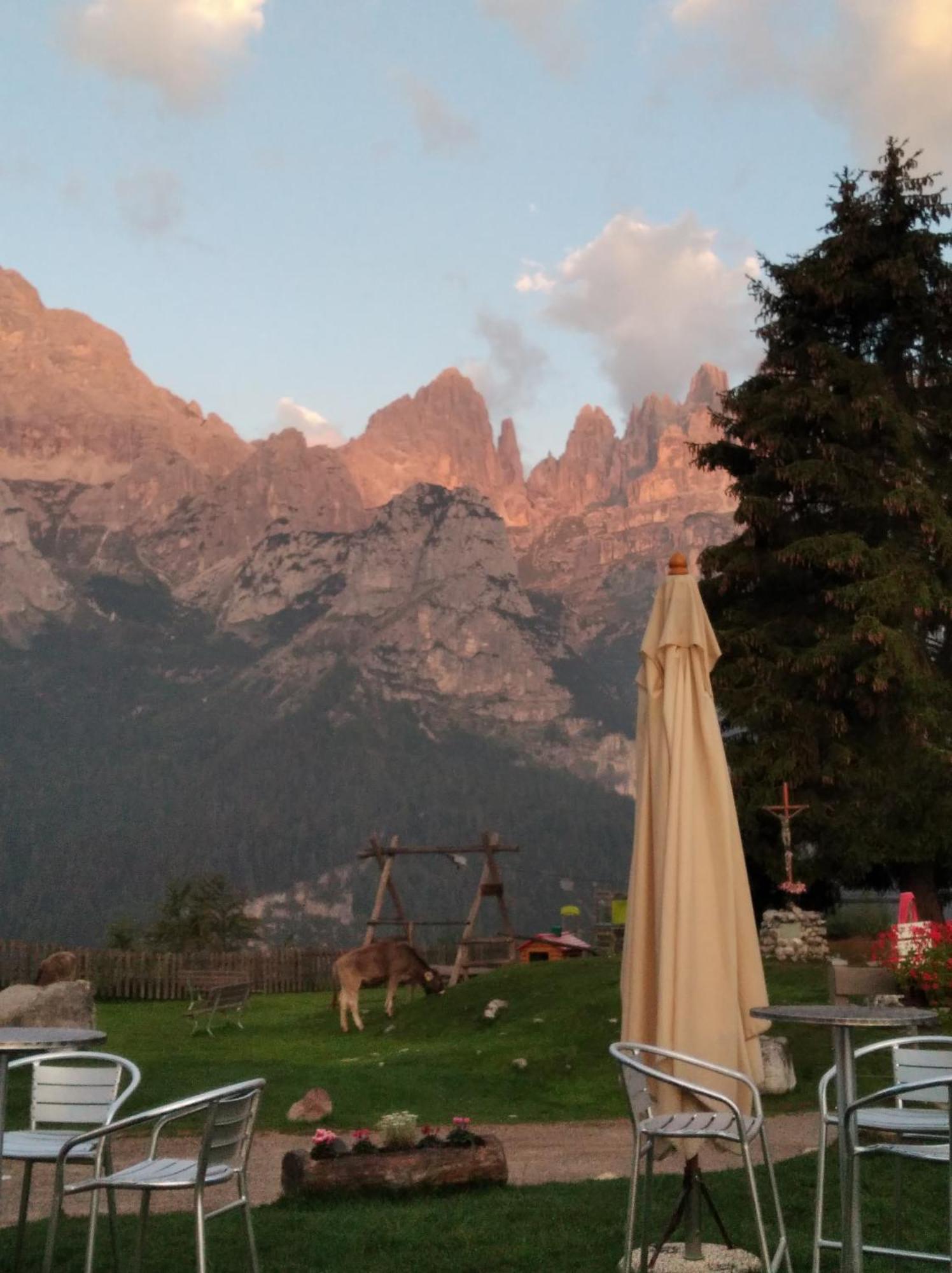 Rifugio La Montanara Villa Molveno Esterno foto